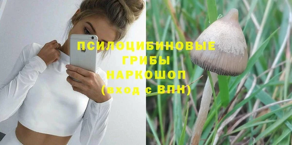 стаф Балахна