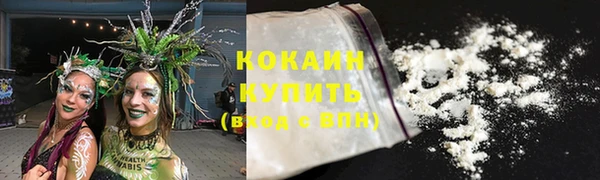 стаф Балахна