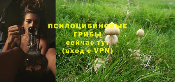 стаф Балахна