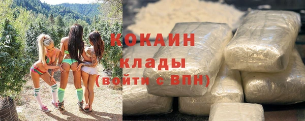 стаф Балахна