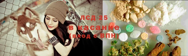 стаф Балахна